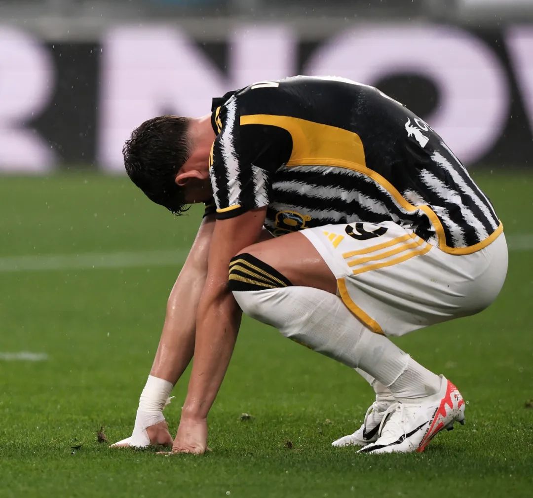 具有很高的 具有很高的