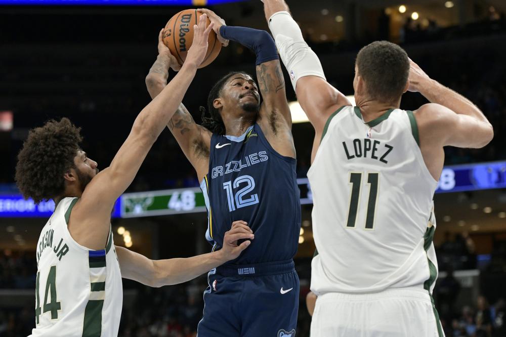 承办赛区的 承办赛区的